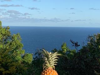 Gîte Créoline 4* avec piscine, clim et parking proche plage - FR-1-786-32 - 3