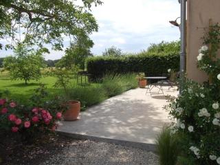 Gîte charmant sur Loire avec terrasse en nature - FR-1-590-545 - 5