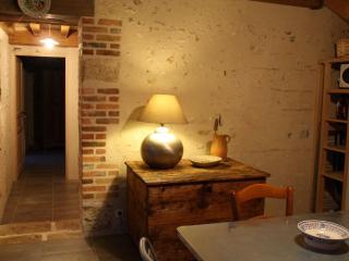 Gîte charmant sur Loire avec terrasse en nature - FR-1-590-545 - 3