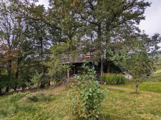 Cabane perchée avec terrasse, sauna et BBQ à Ferdrupt - FR-1-589-770 - Ferdrupt - 2