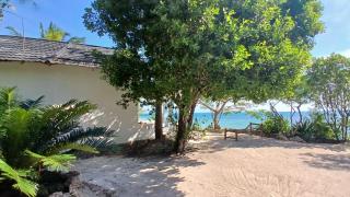 AFYA Village at the sea - Michamvi Kae - 7