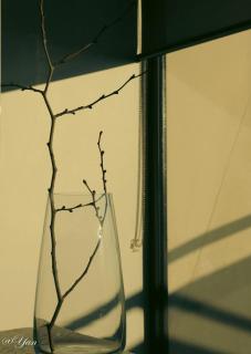 Perfect New Year eve's Fireworks - 0