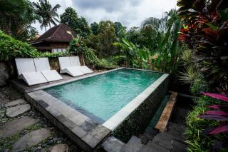 Bije Suite Villa Ubud - Ubud - 4