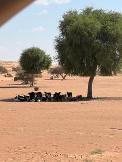 Al Salam Desert Camp Bidiya - Bidiyah - 6