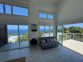 Grande Villa au calme - Vue exceptionnelle - Climatisation - Piscine sel chauffée - Jardin Tropical - Vincendo - 6