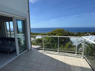 Grande Villa au calme - Vue exceptionnelle - Climatisation - Piscine sel chauffée - Jardin Tropical - Vincendo - 1