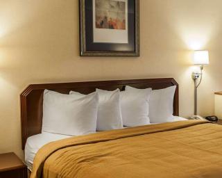 Quality Inn & Suites - Goshen - 4