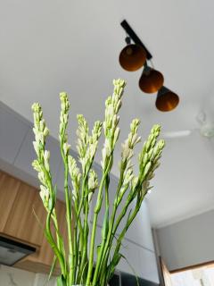 Pering Kamima Villa - 4