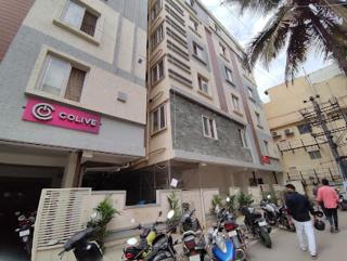 C Suites - St Paul - Bangalore - 0