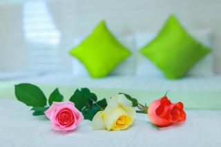 My Hotel Quy Nhơn - Quy Nhon - 4