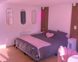 Pink Room by Loveroomeo - Pontarlier - 4