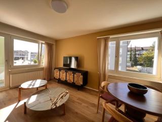 UP&GREAT Apartments - Stylish City Living - Zürich - 1