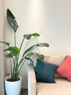 Nancy House - 2
