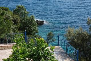 Lemon Tree - Syvota - 3