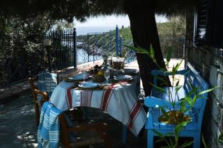 Lemon Tree - Syvota - 2
