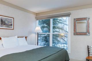 Mountainside Inn 215 by Alpine Lodging Telluride - 9