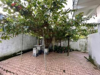 White Owl Vacation Home - Bambaragoda - 6