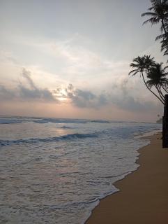 Rangana Beach Rest - 5