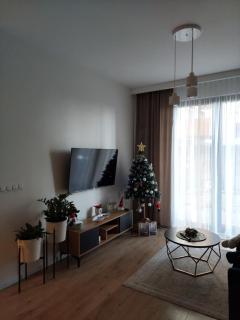 Apartament Aktorów Bronowice - 9