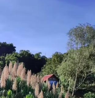 Miradores Del Oso Perezoso - Minca - 1