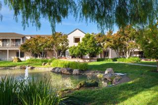 Four Points by Sheraton Pleasanton - Pleasanton - 8