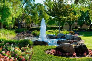Four Points by Sheraton Pleasanton - Pleasanton - 7