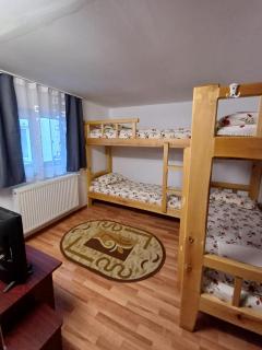 Cabana FARA NUME - Straja - 0