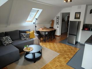 Apartament Tatry Po Horyzont Zakopane - Zakopane - 1