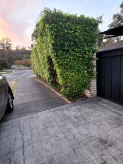 Eryns Retreat Gold Coast - 4