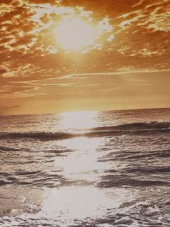 Francia - Cullera - 0