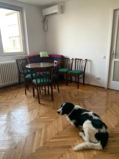 Charming Flat with Winter Garden Blending Classical Elegance and Modern Comfort - Bucarest - 4