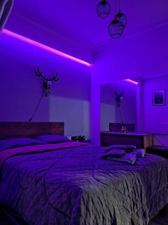 AXD Luxury apartment - 3