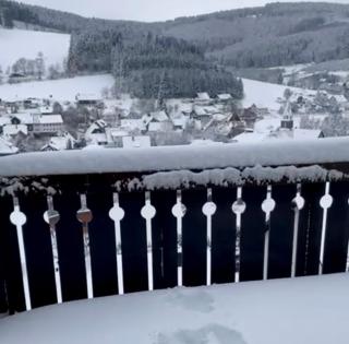 FeWo Pieck mit Parkplatz und privater Garage - 8