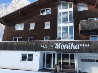 Monika-Mellau Appartements - Mellau - 4