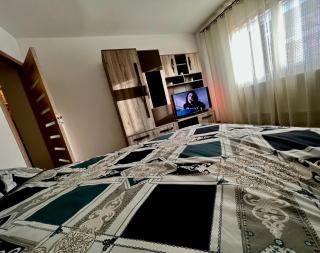 Cozy Comfort Studio Mioritei Wi Fi Self Check in - 11 Venturo - 9