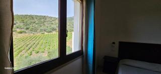 Agriturismo Sa Conca Ruia - Orosei - 6