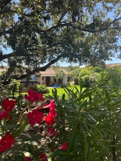 Cute Villa with pool in Palau - Palau - 9