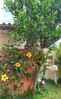apartamento 3 - Torres - 6