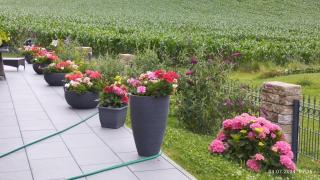 Ferienwohnung Nähe Golfplätze zwischen Bad Griesbach und Bad Birnbach - Haarbach - 8