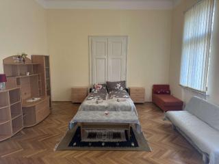 Renáta great apartmant - Szeged - 6