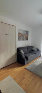 Vila Irina Kopaonik - Apartman Jovana - Kopaonik - 2