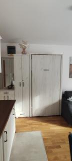 Vila Irina Kopaonik - Apartman Jovana - Kopaonik - 1