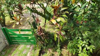 Casa Natureza - 100m Praia da Enseada - 1