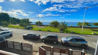 Au vent des Alizés, 2 chambres et 2 salles de bain à 2mn à pied de la plage - 9
