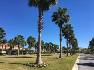 DWS Vacation Villas - Orlando - 0