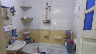 Zloo - Alexandrië - 8