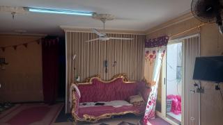 Zloo - Alexandrië - 0
