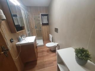 Ferienhaus-Schönwald im Herzen des Schwarzwaldes 1Zimmer Wohnung mit Terrasse App17 - 7