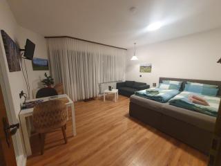Ferienhaus-Schönwald im Herzen des Schwarzwaldes 1Zimmer Wohnung mit Terrasse App17 - Schönwald - 9