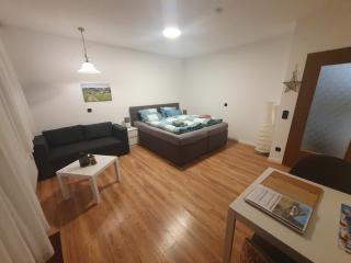 Ferienhaus-Schönwald im Herzen des Schwarzwaldes 1Zimmer Wohnung mit Terrasse App17 - 8